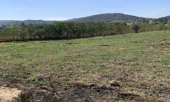 Imagem 3: Terreno em condomínio - Zona Rural