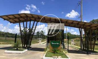 Imagem 2: São Miguel dos Milagres - Loteamento/Condomínio - Toque