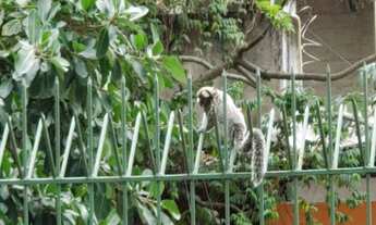 Imagem 2: APARTAMENTO RESIDENCIAL em RIO DE JANEIRO - RJ, COPACABANA