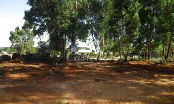 Imagem: Terreno em Uvaranas