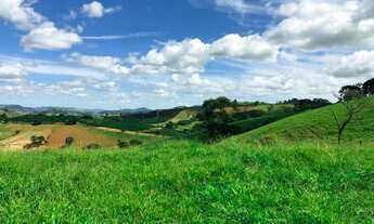 Imagem 2: Linda fazenda A Venda em Borda da Mata- MG