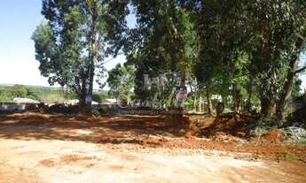 Imagem 2: Terreno em Uvaranas