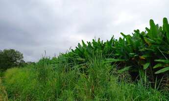 Imagem 6: Sítio 2 alqueires Plano Terra boa pra Banana ( Willian Ricardo