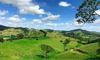 Imagem 6: Linda fazenda A Venda em Borda da Mata- MG