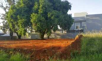 Imagem 1: CANOAS - Terreno Padrão - São José