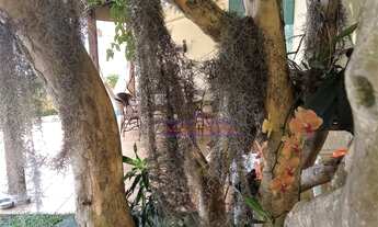 Imagem 3: Casa de Alto Padrão, no Bairro Campestre em Santo André/SP