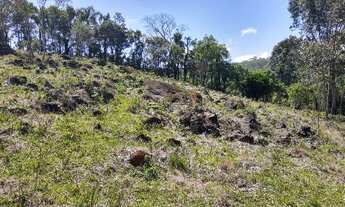 Imagem 3: área de 2.00ha, toda limpa e cercada, com vertente