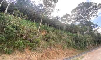 Imagem 4: Terreno com vista espetacular, ótima topografia, aceita negociação!