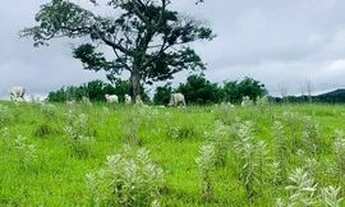 Imagem 2: Lote a venda em Atibaia bairro Portão