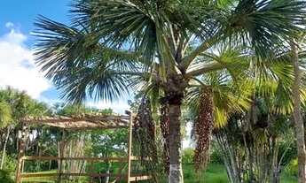 Imagem 3: Casa disponível em Aruanã