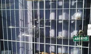 Imagem: Passo ponto de Studio TICÊ TATTOO