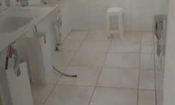 Imagem 6: Alugua -se ou vende-se esse lindo Apartamento