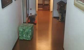 Imagem 2: Apartamento 2 dormitorios vaga escriturada