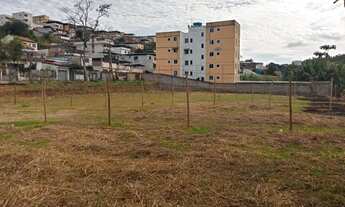 Imagem 7: Terrenos no centro Pq Independência