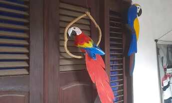 Imagem 5: VENDO CASA DE ESQUINA NO SÃO RAIMUNDO