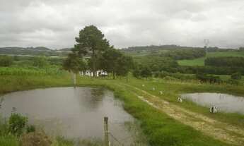 Imagem 3: Vendo lindo sítio- area com 3.820m2