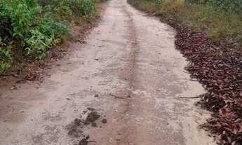 Imagem 7: FAZENDA À VENDA EM BALSAS - MA - 470 HECTARES - (DUPLA APTIDÃO