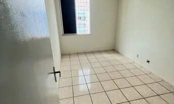 Imagem 4: Jardim das Palmeiras