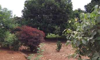 Imagem 6: Vendo excelente chácara no Incra 09 !!