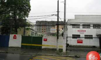 Imagem: São Paulo - Galpão/Depósito/Armazém