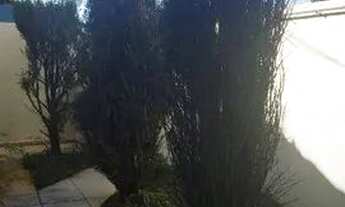 Imagem 4: Sobrado com 5 dormitórios, 190 m² - venda por R$ 525.000,00 ou aluguel por R$ 1.900,00/mês