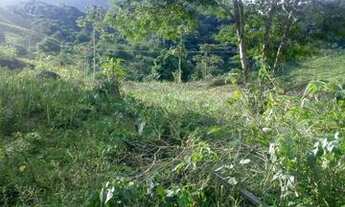 Imagem 2: Sítio Chácara com venda por R$125.000