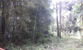 Imagem 7: Area Para Formar Chacara ,Sitio,em Piraquara (Roça Nova,Papanduva