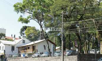 Imagem 3: TERRENO COMERCIAL EM CANELA