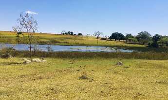 Imagem: Fazenda em caldas novas 63 Alqueires planta