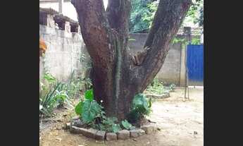 Imagem 2: Chácara de 1200m2 com casa de 03quartos em Novo Horizonte - Cariacica - ES