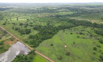 Imagem 4: Fazenda de 200 Alqueires Município de Araguatins TO