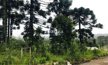 Imagem: TERRENO EM CANELA