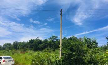 Imagem 4: Chácara beira lago 1700mts, mais área de preservação