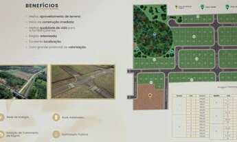 Imagem 2: IçARA - Terreno Padrão - Liri