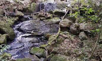 Imagem 6: área de 2.00ha, toda limpa e cercada, com vertente
