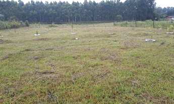 Imagem 3: Área de terra 1.755,00m², toda cercada, vários pés de frutíferas