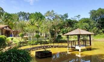 Imagem: Sítio para Venda em Socorro, centro