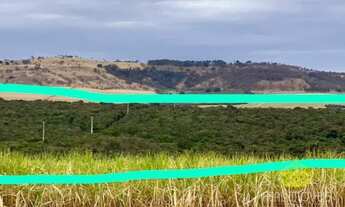 Imagem 2: Fazenda para Venda Patrocínio Paulista