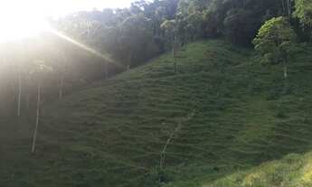 Imagem: Chácara / Sítio à venda, 2 quartos, Três