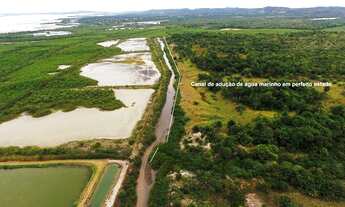 Imagem 5: Fazenda à venda Salinas da Margarida - Bahia, 3360000 m² por R$ 22.500.000 - Centro - Sali
