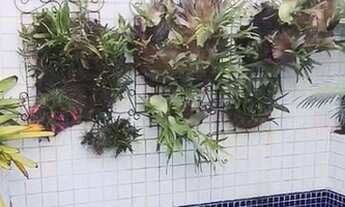 Imagem 5: Cobertura com 2 dorms, Vila Mascote, São Paulo - R$ 750 mil, Cod: 91203