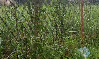 Imagem 4: Terreno com 1800 m2 na Freguesia, ideal para escolas, mercados, clínicas..