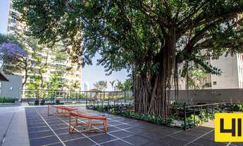 Imagem 2: Figueira tatuapé