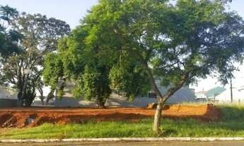 Imagem 3: CANOAS - Terreno Padrão - São José