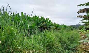 Imagem 4: Sítio 2 alqueires Plano Terra boa pra Banana ( Willian Ricardo