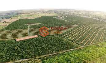 Imagem 7: VENDO FAZENDA COM 130 TAREFAS - CRISÓPOLIS - BAHIA