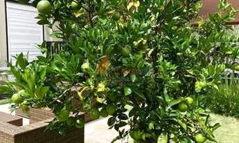 Imagem 7: Barueri - Casa de Condomínio - Tamboré