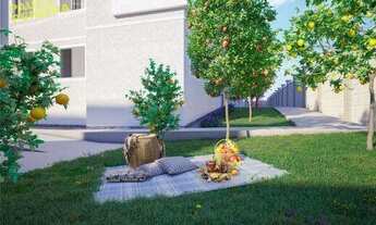 Imagem 3: Apto com 2 Dorms Novo próximo ao centro