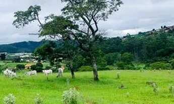 Imagem 3: Terrenos com otimas topografias para você construir