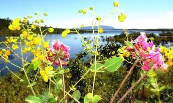 Imagem 2: Chacaras e lotes as margens do lago de serra da mesa